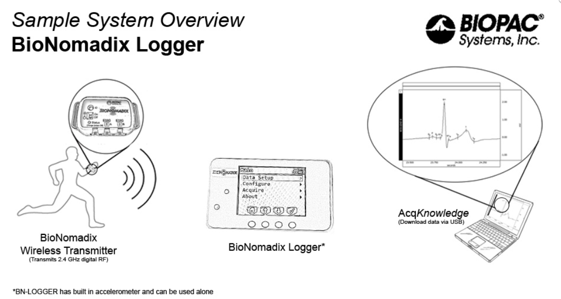 Logger